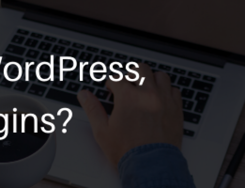 Why Update WordPress, Themes, & Plugins?
